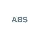 ABS Warning Light
