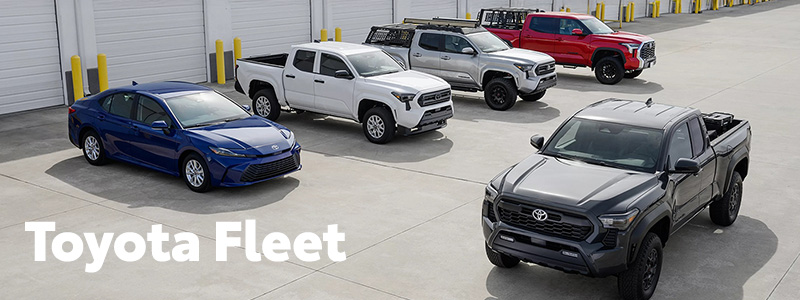 Toyota Fleet