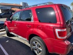 2010 Ford Escape Limited