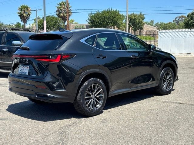 2024 Lexus NX 250 Base