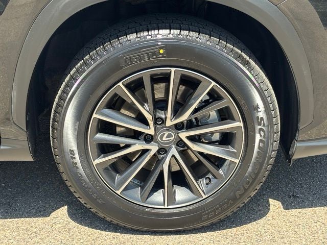 2024 Lexus NX 250 Base