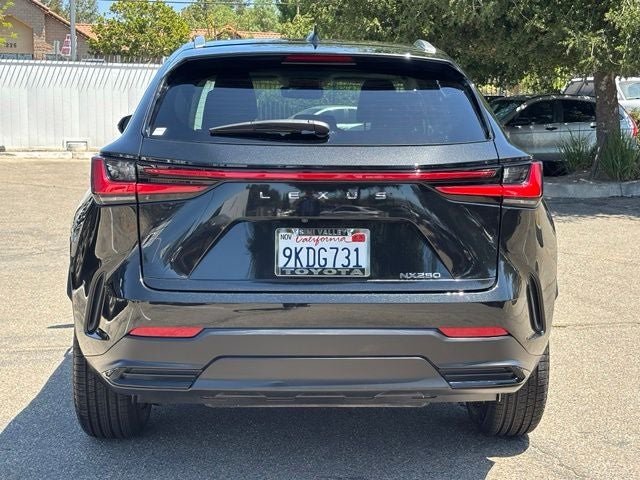 2024 Lexus NX 250 Base