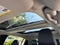 2023 Toyota Prius Prime XSE Premium
