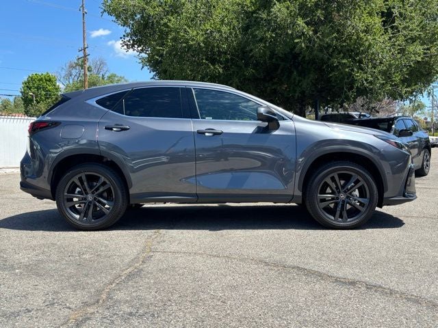 2025 Lexus NX 450h+ Luxury