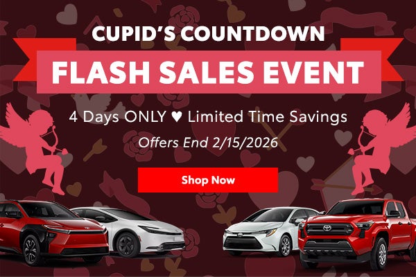 Cupid's Countdown Flash Sales Event